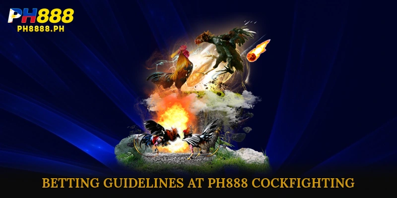 Rules and Betting Guidelines at PH888 Cockfighting