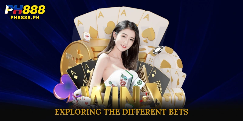 Exploring the Different Bets in Caribbean Stud Poker