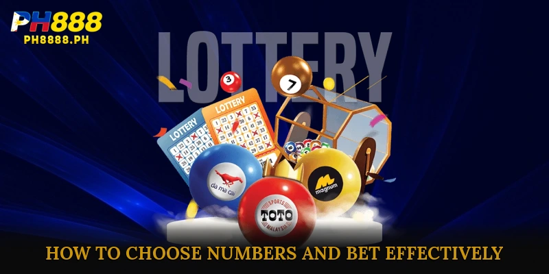 How to Choose Numbers and Bet Effectively