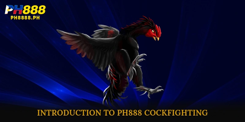 Introduction to PH888 Cockfighting