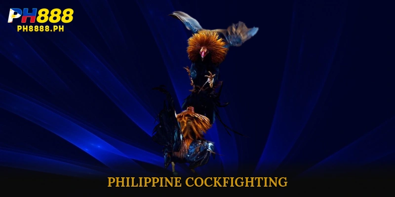 Philippine Cockfighting