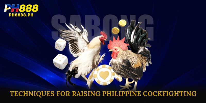 Techniques for Raising Philippine Cockfighting for Fighting