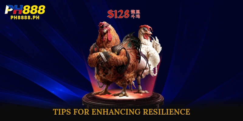 Tips for Enhancing Resilience in The toughness of fighting cocks