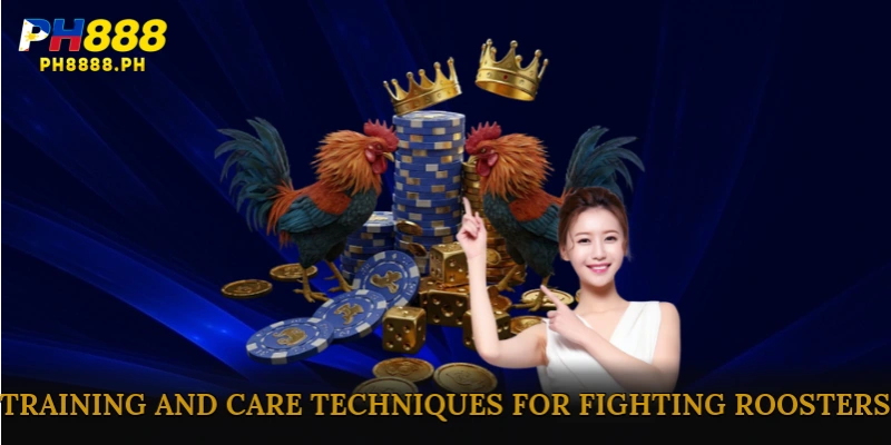 Training and Care Techniques for Fighting Roosters