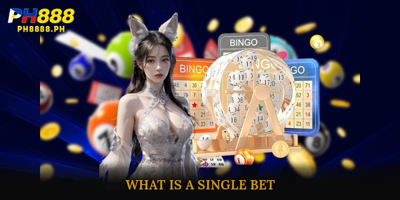 What is a Single Bet?