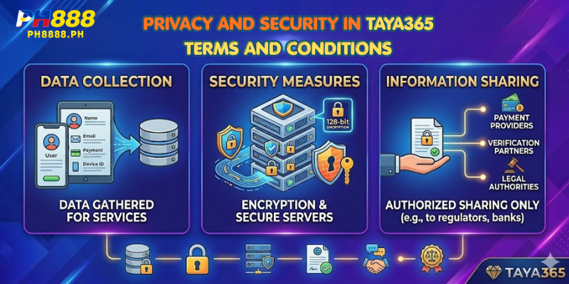 Privacy and Security in TAYA365 Terms and Conditions